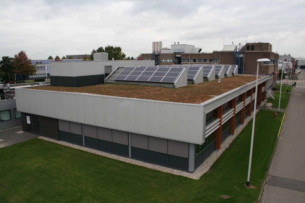 Duurzaam dak: sedumplantjes en zonnepanelen op het dak van Stahl. 